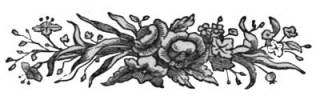border roses photo borderroses.jpg