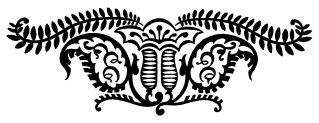 photo doverfancydivider.jpg